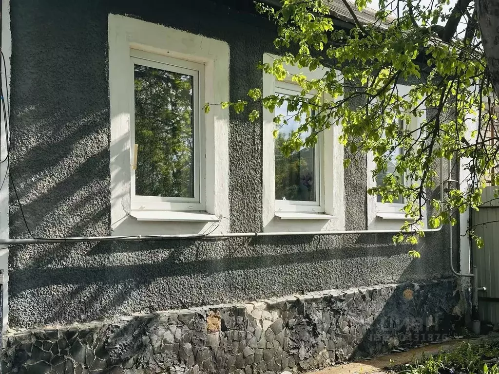 Дом в Воронежская область, Новоусманский район, с. Орлово Больничная ... - Фото 2