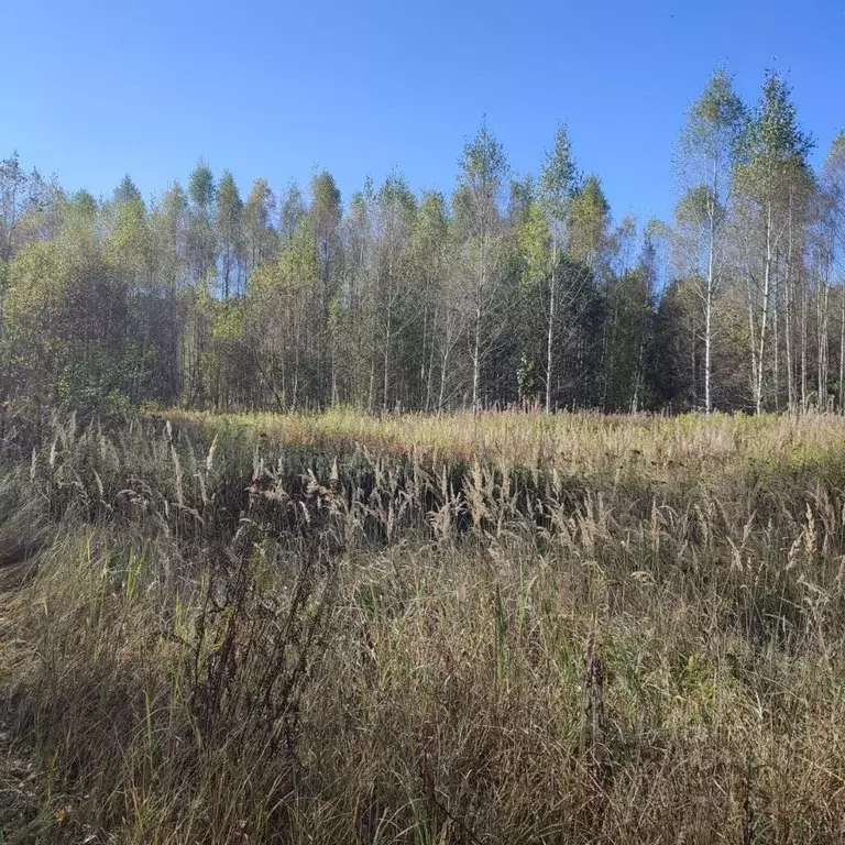 Участок в Московская область, Павловский Посад Игнатьево мкр,  (6.78 ... - Фото 1