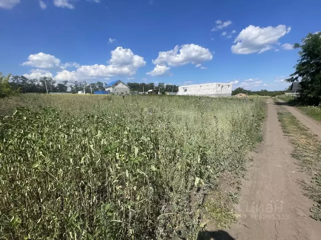 Участок в Белгородская область, Белгородский район, Разумное рп, ... - Фото 0