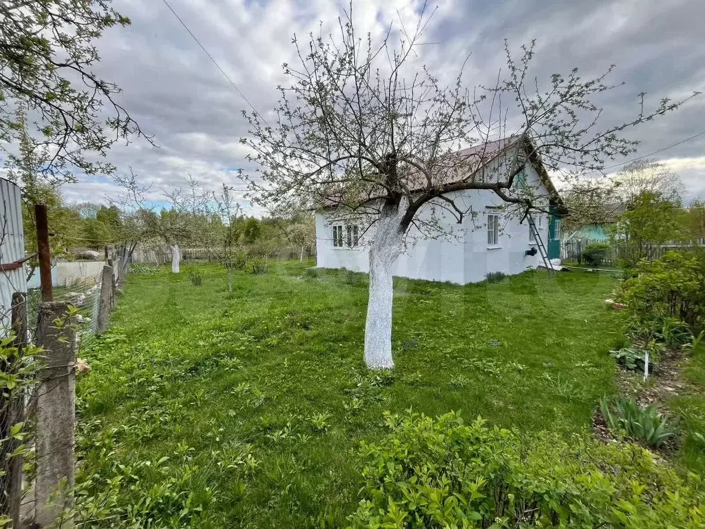 Дом 64,6 м на участке 29 сот. - Фото 1