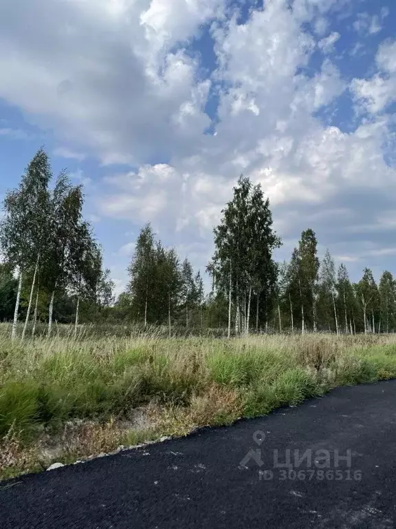 Участок в Ленинградская область, Всеволожский район, Куйвозовское ... - Фото 1