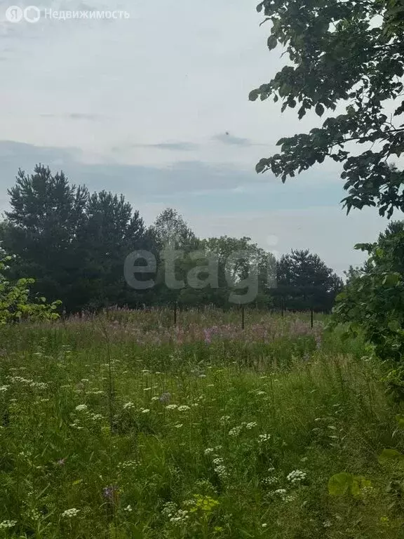 Участок в село Обуховское, Восточная улица (14 м) - Фото 2