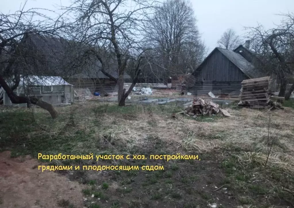 Участок 12 сот. (ИЖС) - Фото 1