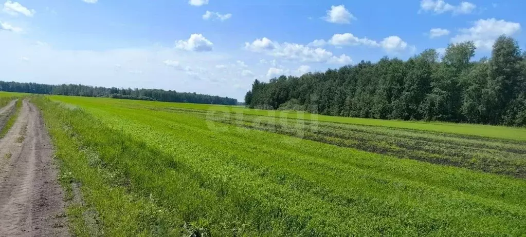 Участок в Тюменская область, Тюменский муниципальный округ, ... - Фото 1