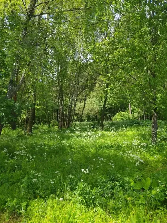 Участок в Московская область, Серпухов городской округ, д. Мещериново  ... - Фото 0