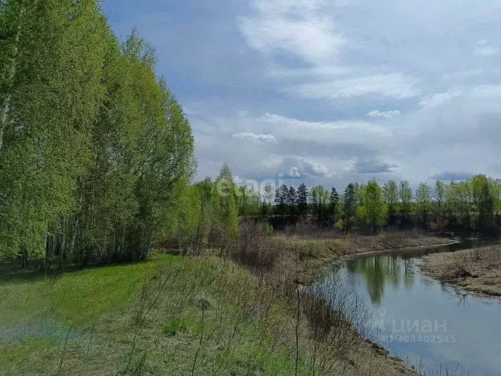 Участок в Свердловская область, Слободо-Туринский район, ... - Фото 0