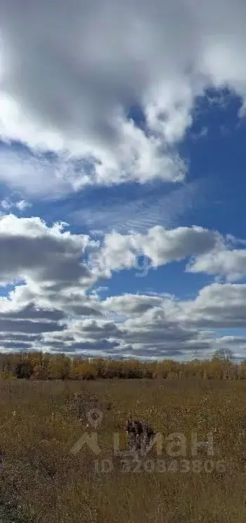 Участок в Новосибирская область, Колыванский район, Берег СНТ ул. 7-я ... - Фото 1