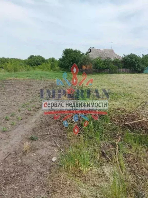 Участок в Белгородская область, Шебекино пер. Лазарева (14.25 сот.) - Фото 1