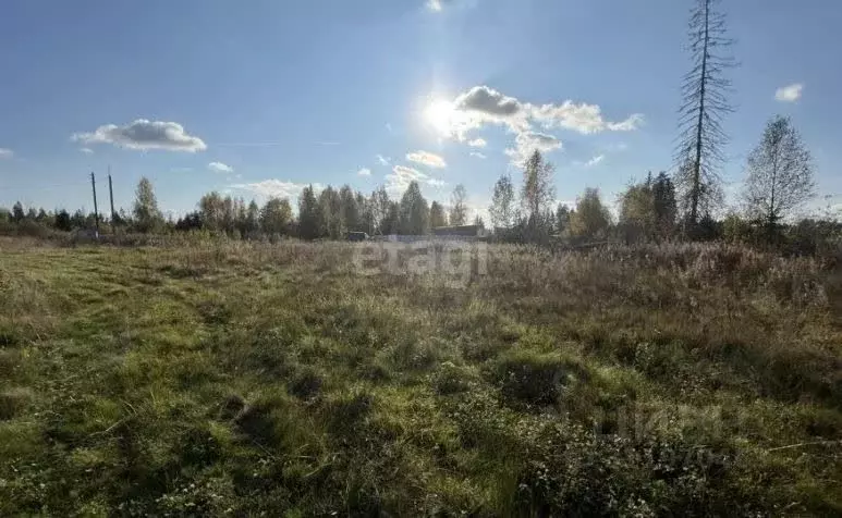 Участок в Московская область, Солнечногорск городской округ, д. Жилино ... - Фото 0