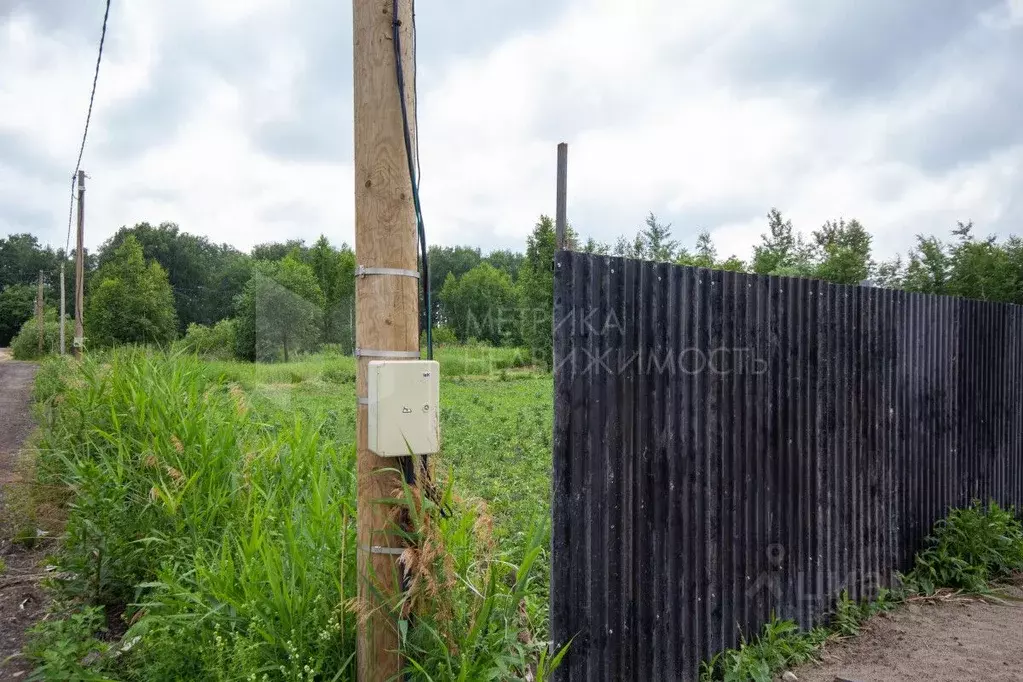 Участок в Тюменская область, Тюмень Поляна садовое общество, ул. ... - Фото 1
