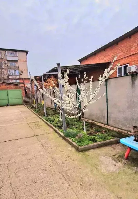 Участок в Краснодарский край, Краснодар Центральный мкр, ул. Фрунзе, ... - Фото 2