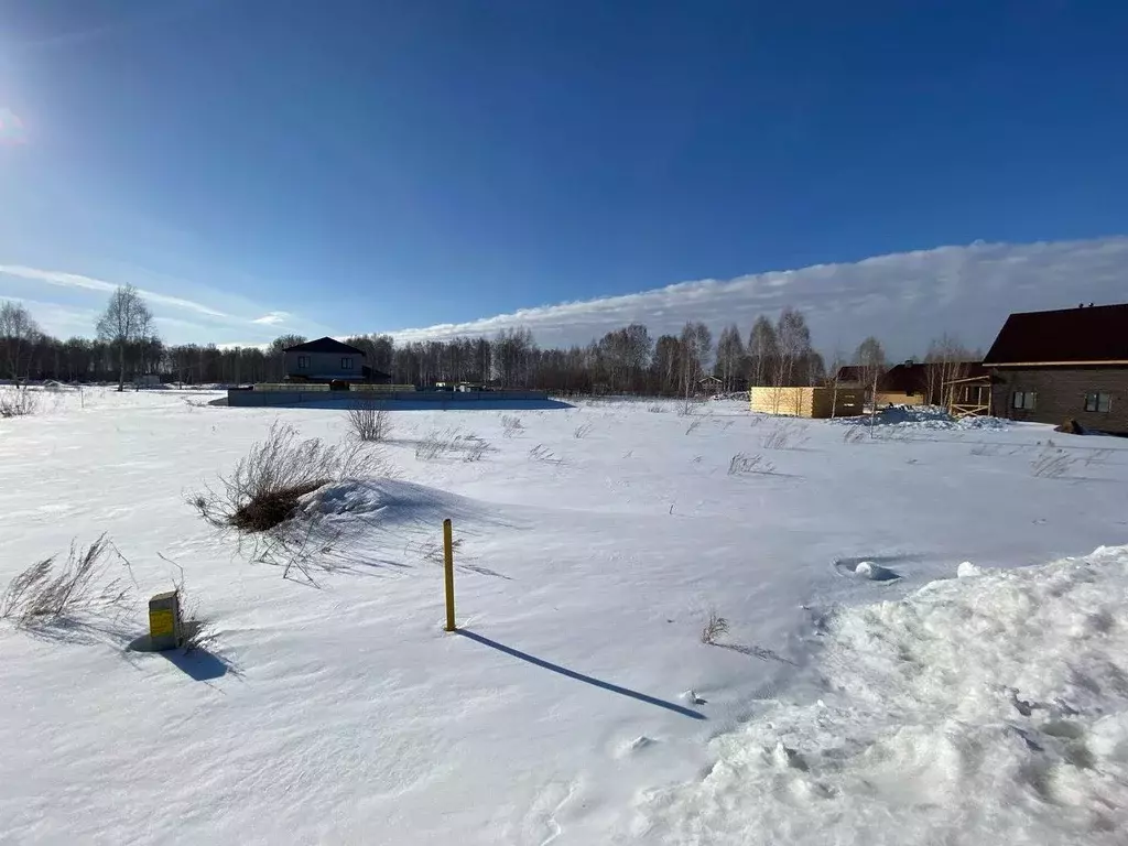 Участок в Новосибирская область, Новосибирский район, Барышевский ... - Фото 1