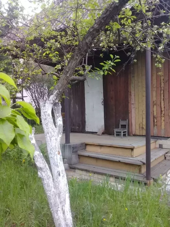 Дом в Хакасия, Абакан Нижняя Согра мкр, ул. Сиреневая (30 м) - Фото 2