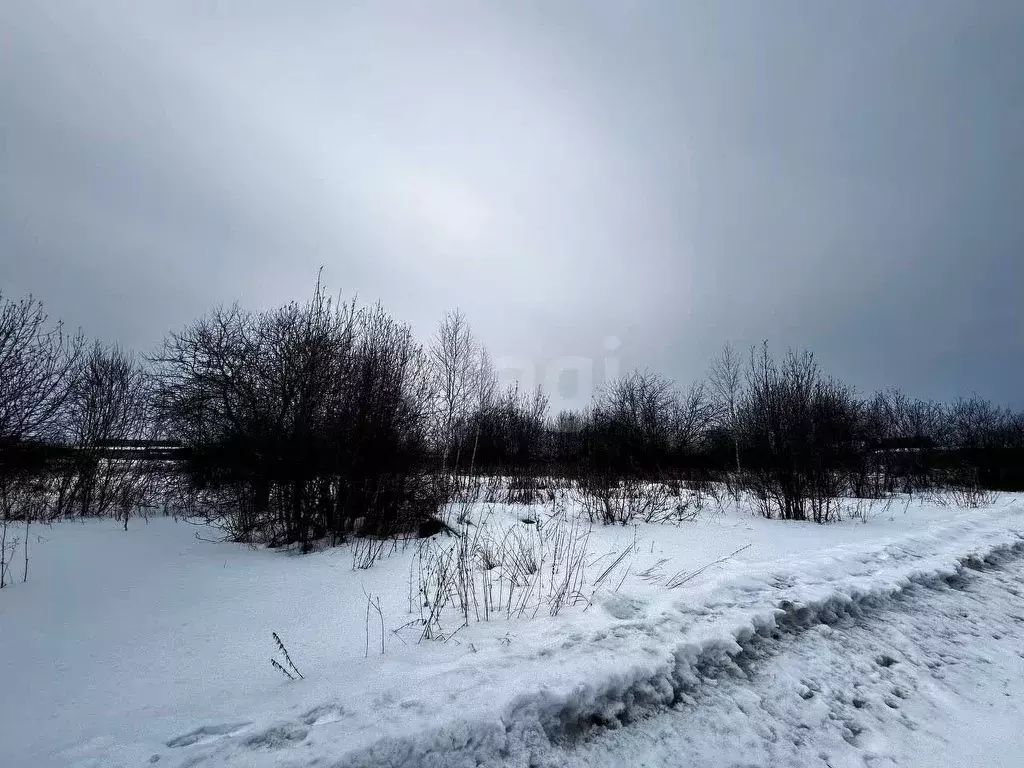 Участок в Свердловская область, Тугулымский муниципальный округ, с. ... - Фото 1