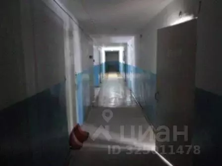 Помещение свободного назначения в Кировская область, Подосиновский ... - Фото 2