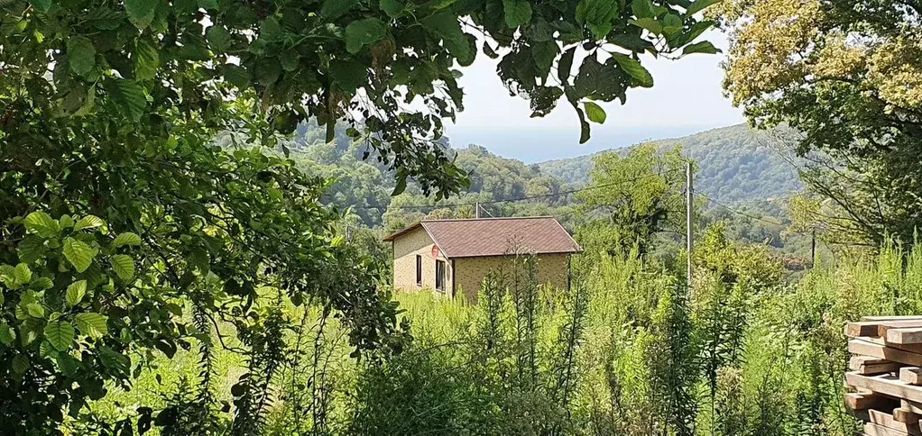 Участок в Краснодарский край, Сочи городской округ, с. Вардане-Верино  ... - Фото 1