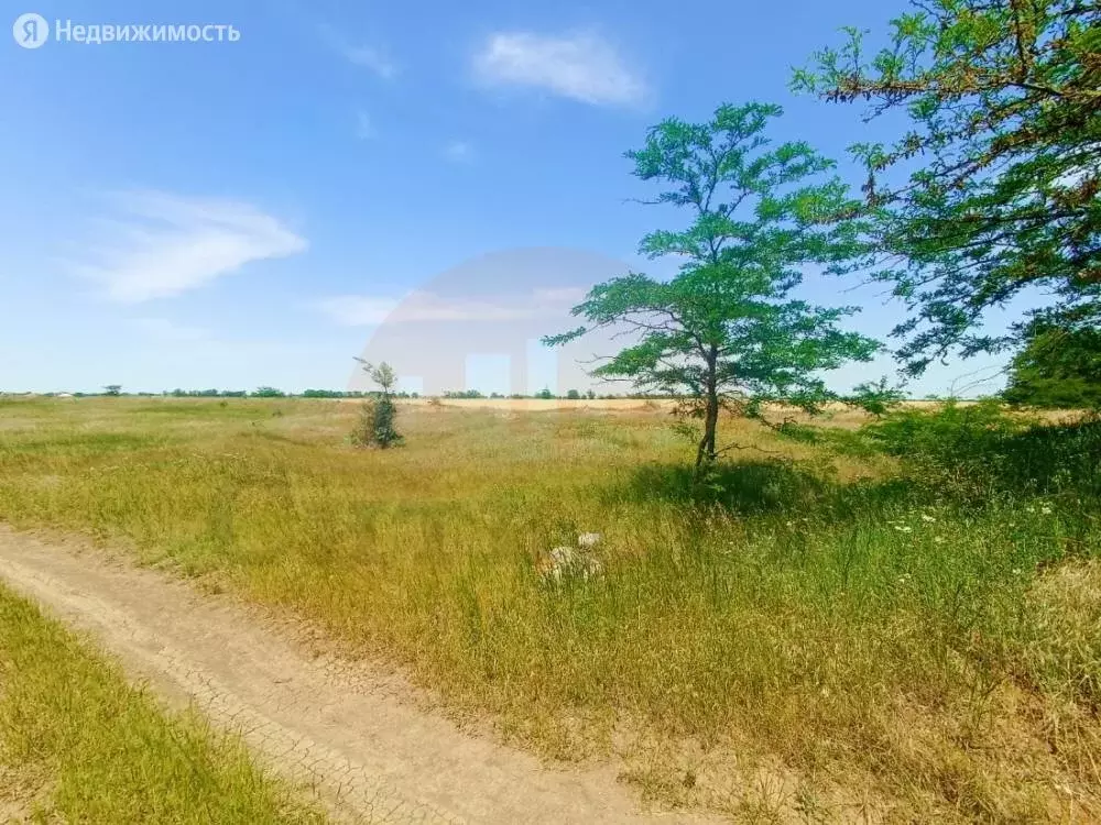 Участок в село Лесновка, Садовая улица (6 м) - Фото 1