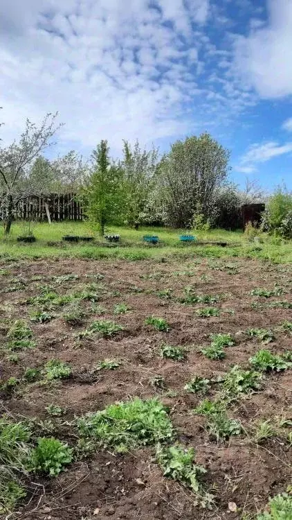 Участок в Хакасия, Саяногорск Саяногорск городской округ,  (588.0 ... - Фото 1