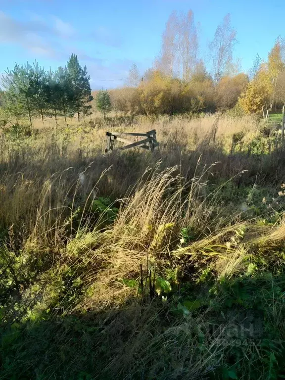 Участок в Ленинградская область, Тосно г. Тосненский район, Тосненское ... - Фото 1
