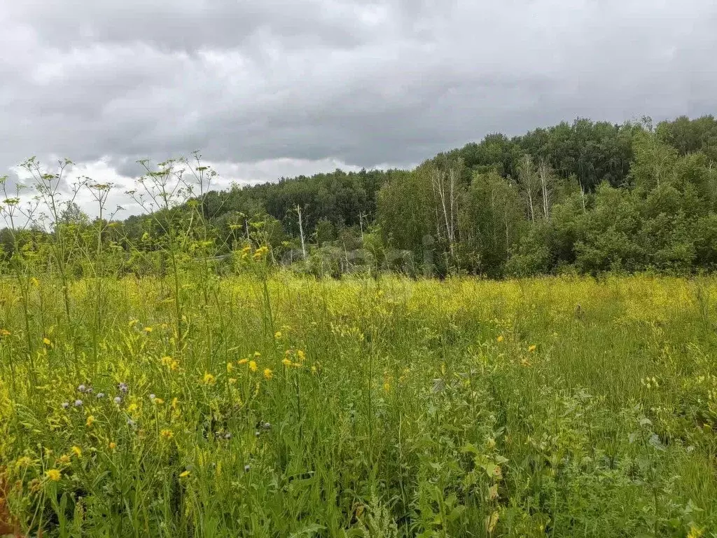 Участок в Красноярский край, Красноярск городской округ, пос. Элита ... - Фото 1