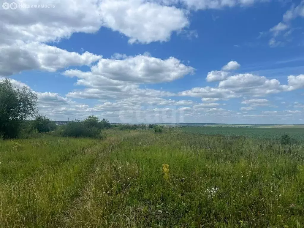 Участок в Рузаевский район, посёлок Левженский (11 м) - Фото 2
