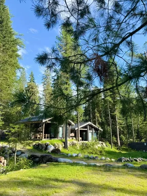 Дом в Алтай, Турочакский район, с. Артыбаш пер. Еловый, 11 (40 м) - Фото 0