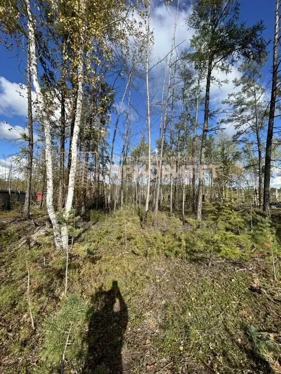 Участок в Саха (Якутия), Мегино-Кангаласский улус, Нижний Бестях пгт  ... - Фото 2