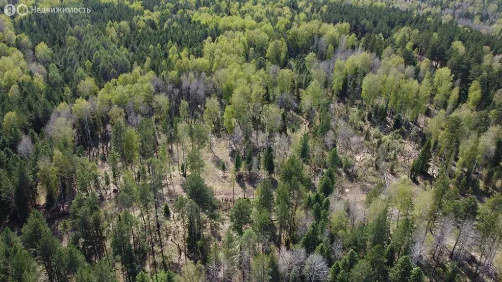 Участок в Томский район, Богашёвское сельское поселение, деревня ... - Фото 1