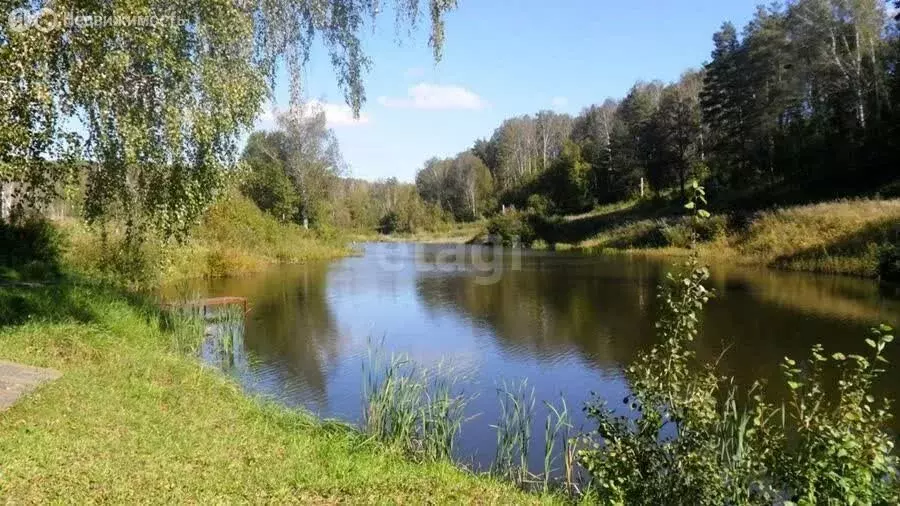 Участок в Барышевский сельсовет, дачное некоммерческое товарищество ... - Фото 0