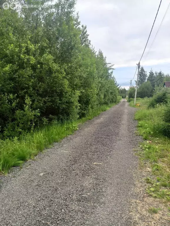 Участок в Ленинградская область, Всеволожское городское поселение, ... - Фото 1