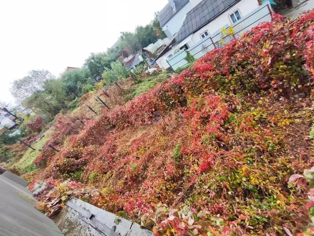 Участок в Воронежская область, Воронеж Саратовская ул., 17 (7.46 сот.) - Фото 2