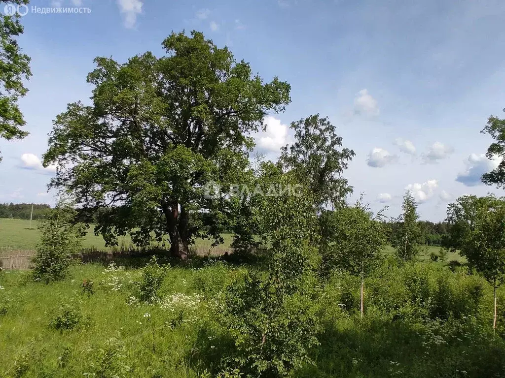 Участок в Плодовское сельское поселение, ДНТ Комсомольское (20 м) - Фото 0