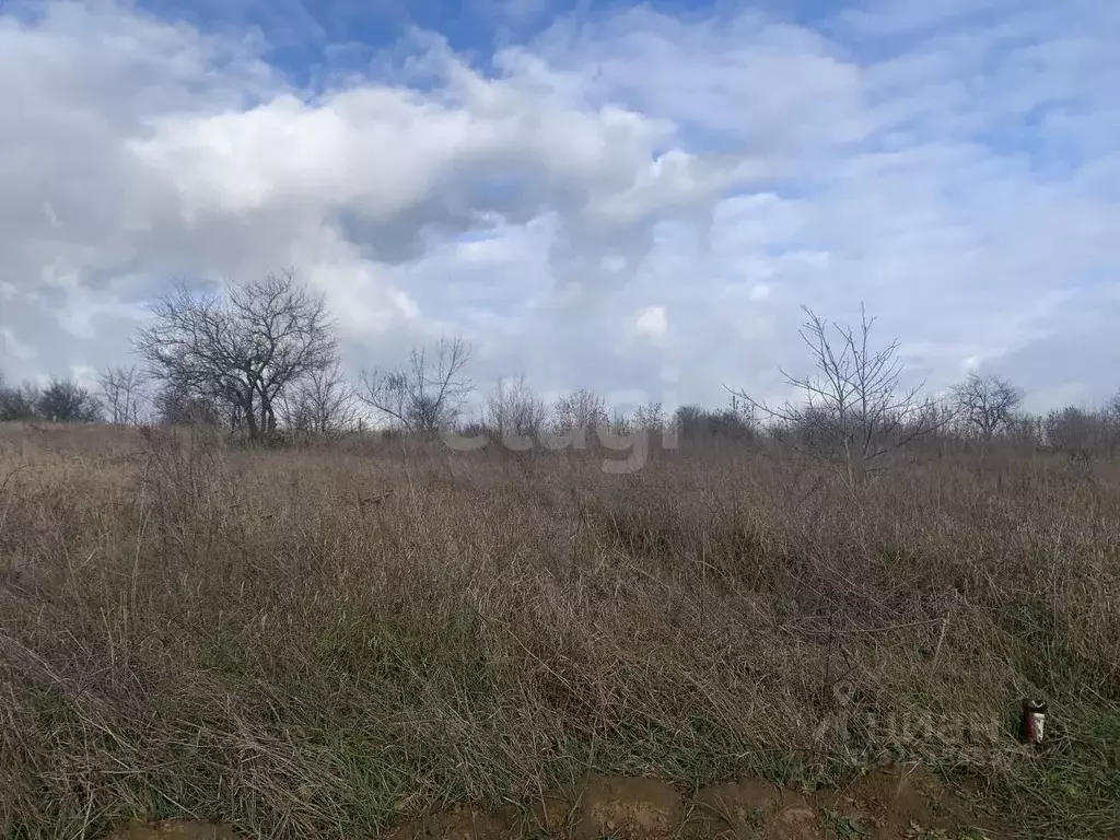 Участок в Краснодарский край, Темрюк Стимул СНТ,  (4.0 сот.) - Фото 2