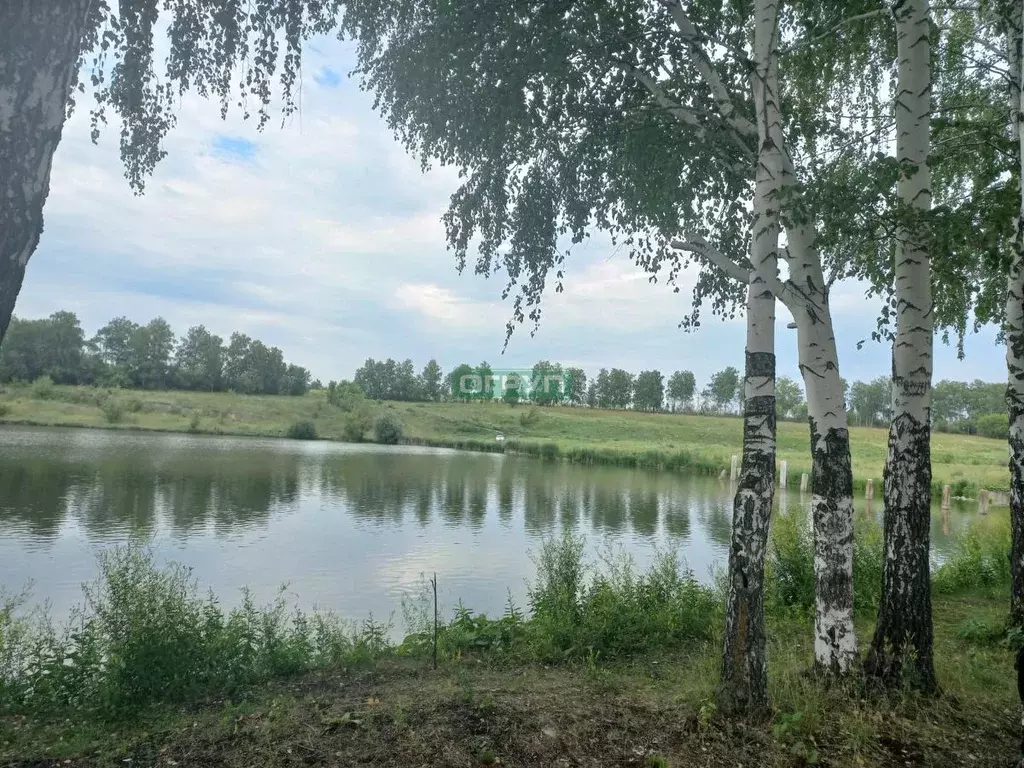 Участок в Пензенская область, с. Бессоновка ул. Озерная (6.0 сот.) - Фото 1