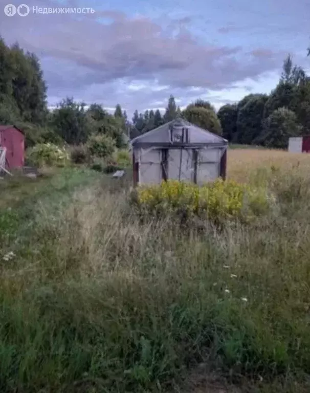 Участок в Псковский район, Карамышевская волость, деревня Сорокино (8 ... - Фото 1