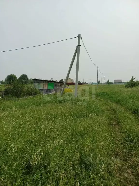 Участок в Кемеровская область, Кемеровский муниципальный округ, пос. ... - Фото 2