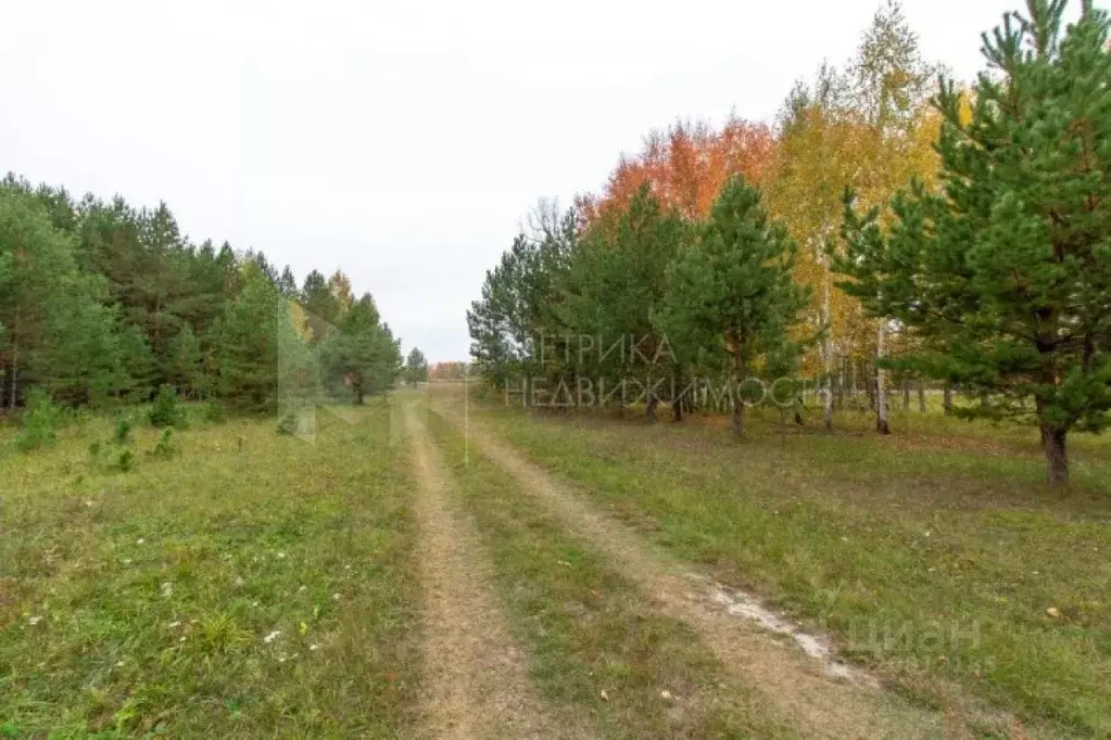 Участок в Тюменская область, Нижнетавдинский район, д. Московка  ... - Фото 0