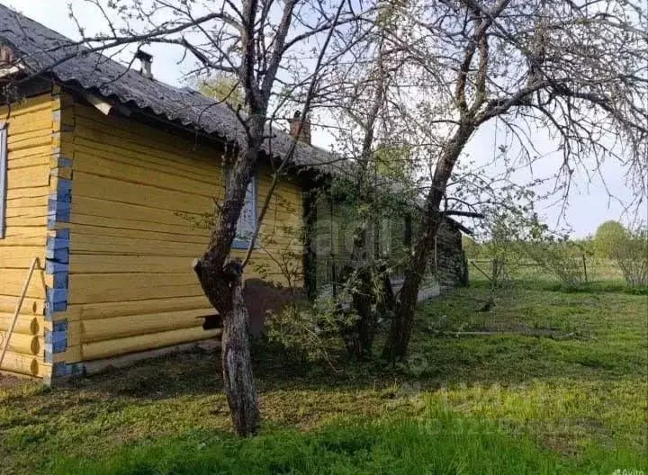 Дом в Вологодская область, Кадуйский муниципальный округ, д. Бойлово ... - Фото 1