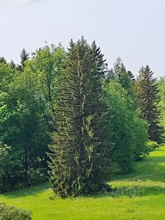 Участок в Калужская область, Жуковский муниципальный округ, с. ... - Фото 2