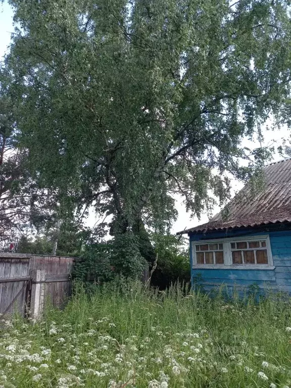 Дом в Тверская область, Зубцовский муниципальный округ, д. Молозвино  ... - Фото 1