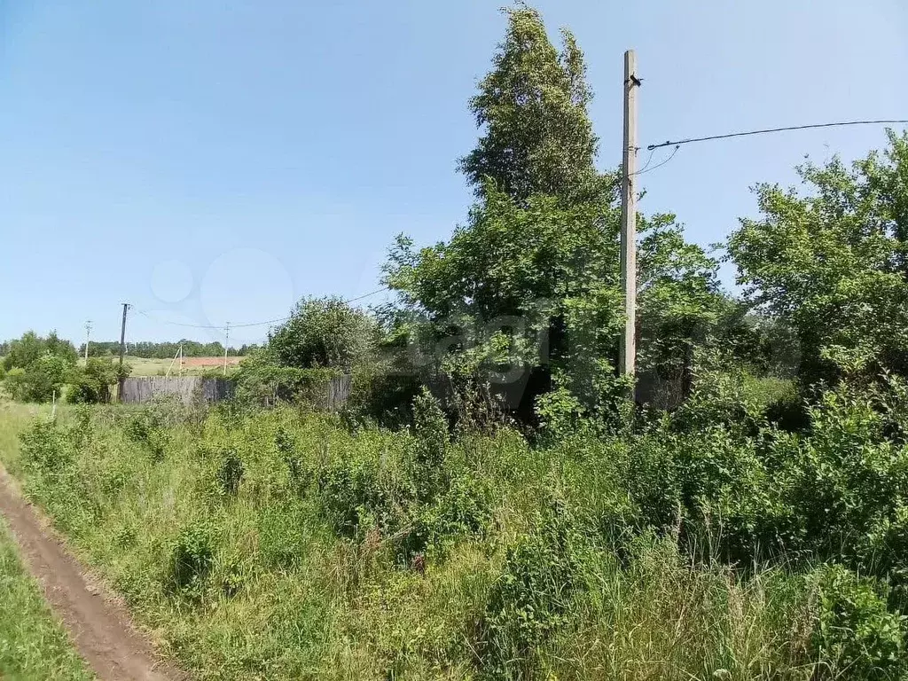 Участок 6,3 сот. (СНТ, ДНП) - Фото 1
