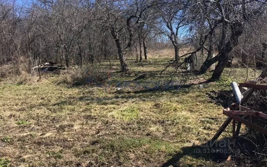 Участок в Вологодская область, Никольский муниципальный округ, д. ... - Фото 1