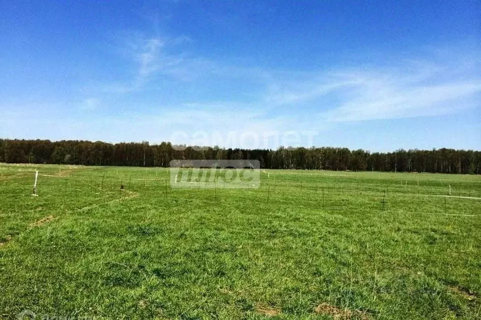 Участок в Алтайский край, Первомайский район, с. Фирсово Цветочная ул. ... - Фото 2
