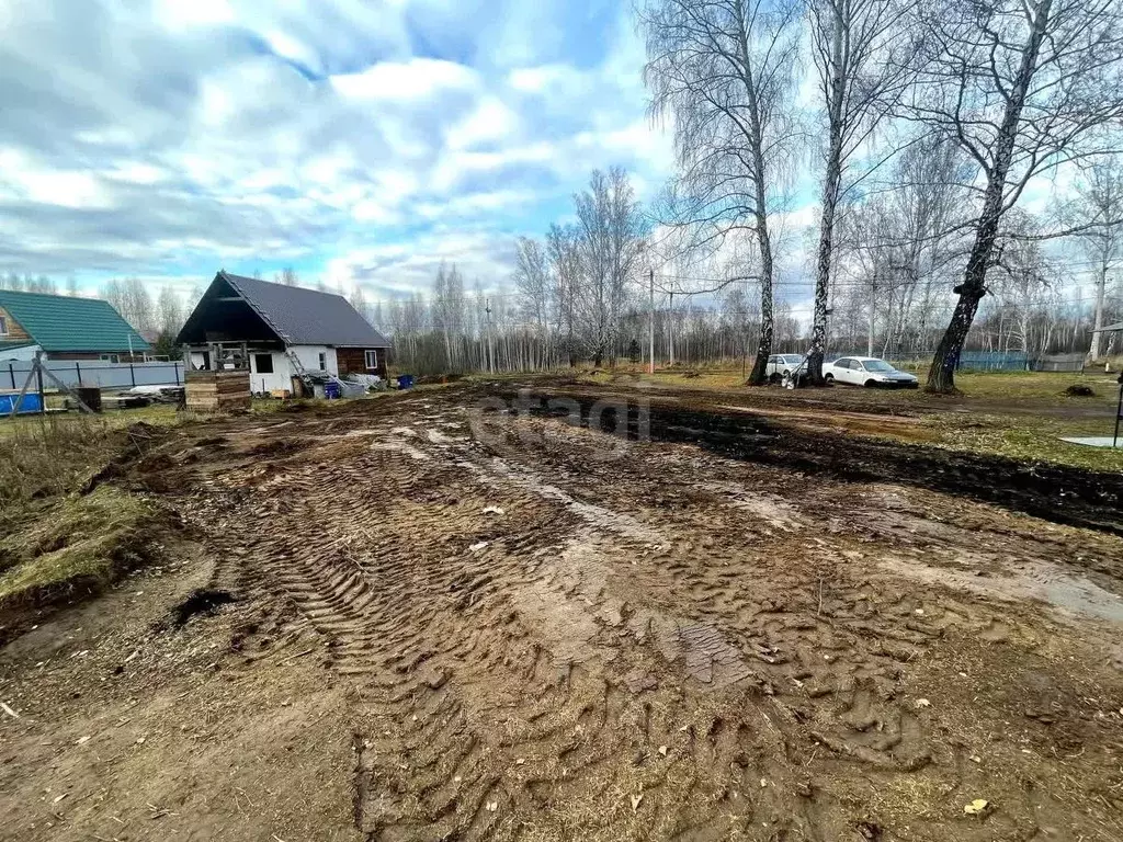 Участок в Новосибирская область, Мошково рп  (8.0 сот.) - Фото 2