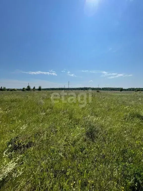 Участок в Тульская область, Щекинский район, Яснополянское ... - Фото 0