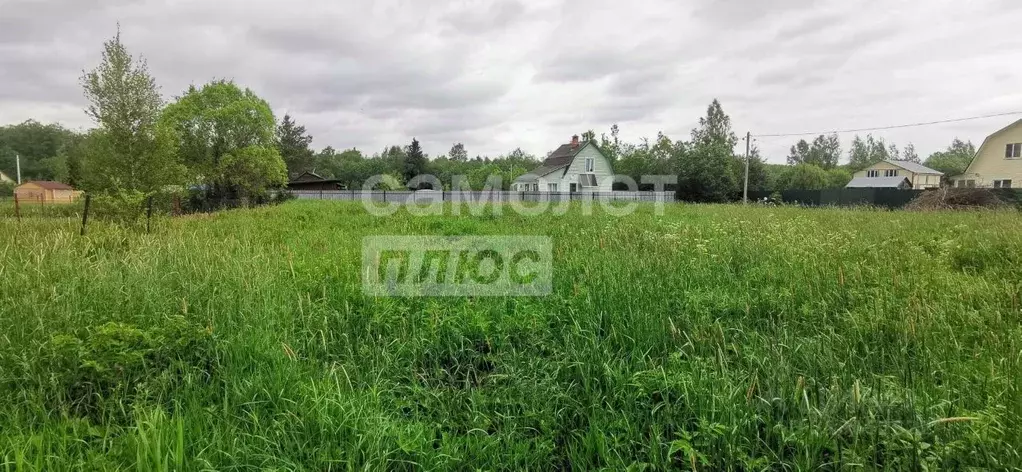 Участок в Московская область, Клин городской округ, Надежда садовое ... - Фото 0