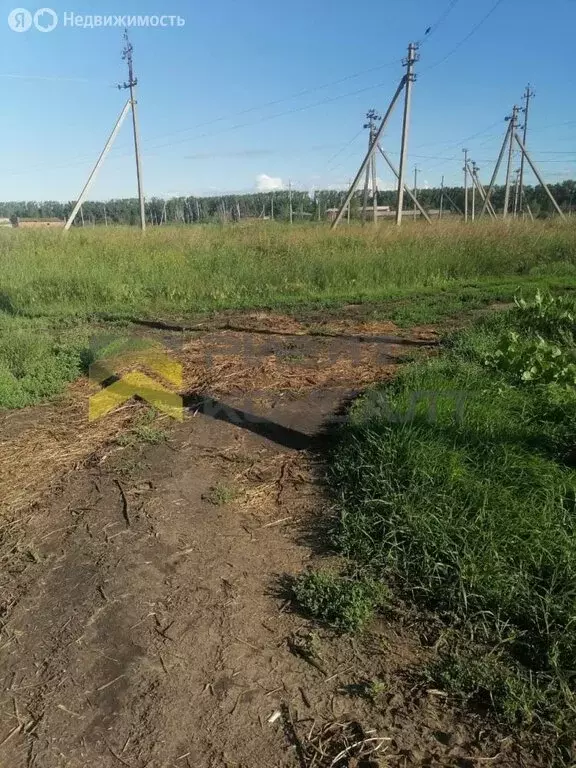 Участок в Пушкино, улица Ленина, 91 (18 м) - Фото 0
