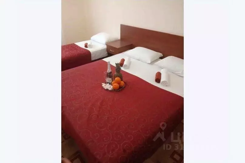 Комната Краснодарский край, Сириус пгт ул. Станиславского, 37 (22.0 м) - Фото 0