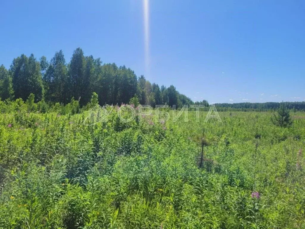 Участок в Тюменская область, Тюменский район, с. Кулига, Кулига-2 мкр  ... - Фото 0