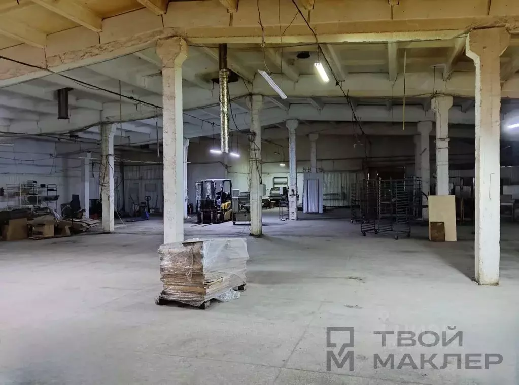 Склад в Пензенская область, Пенза Совхозная ул., 12к6 (1760 м) - Фото 2